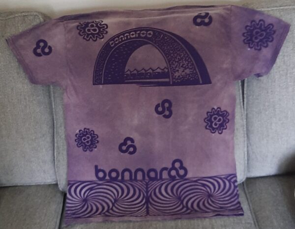 BONNAROO - Image 2